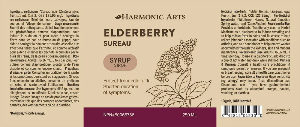 Elderberry Syrup (250ml)