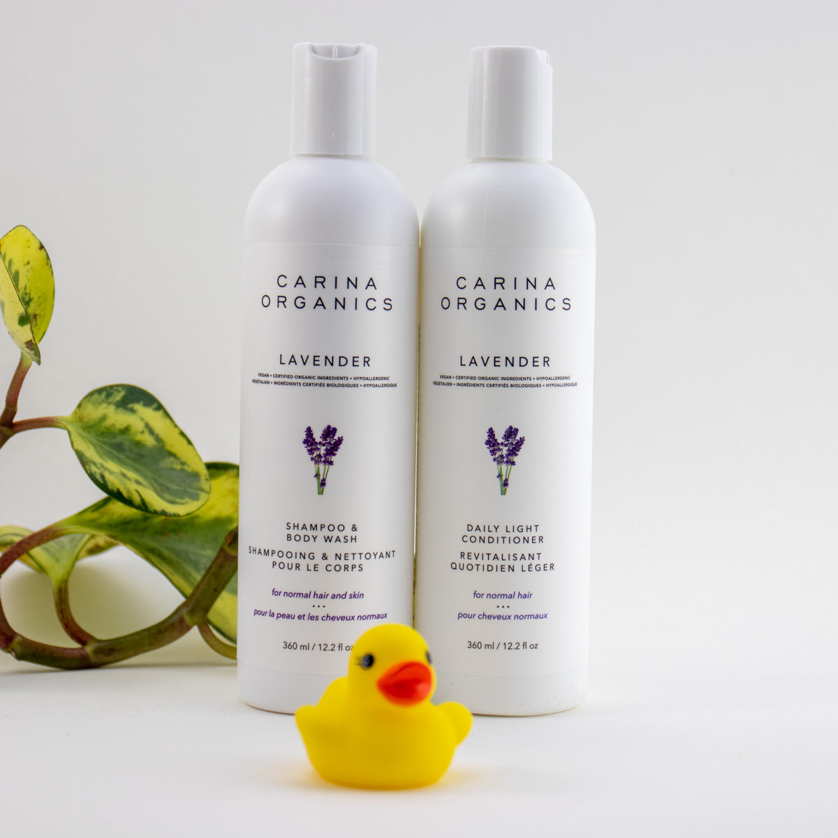 Lavender Shampoo & Body Wash